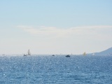 Tn CANNES ANTIBES 058